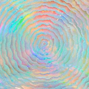 Meet your Posher, Jessie